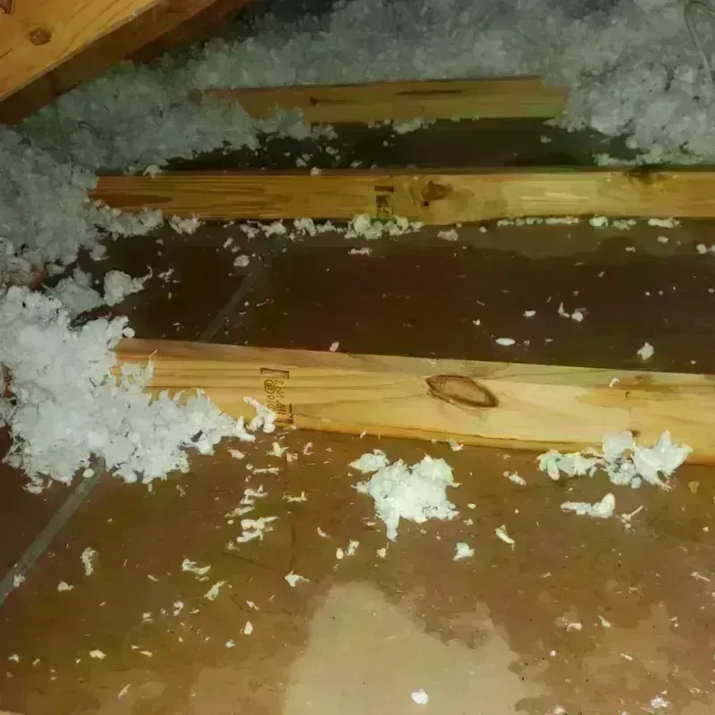 Attic Water Damage in Enterprise, UT