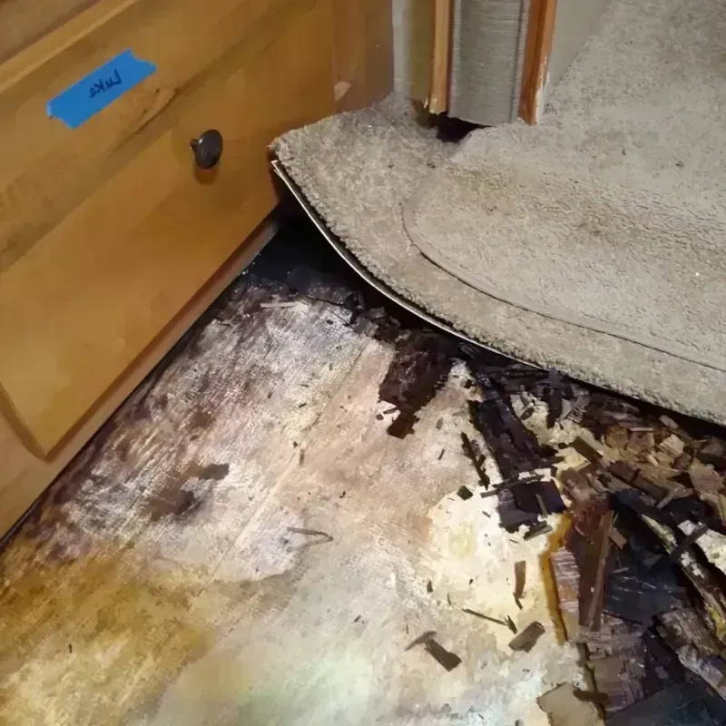 Wood Floor Water Damage in Enterprise, UT